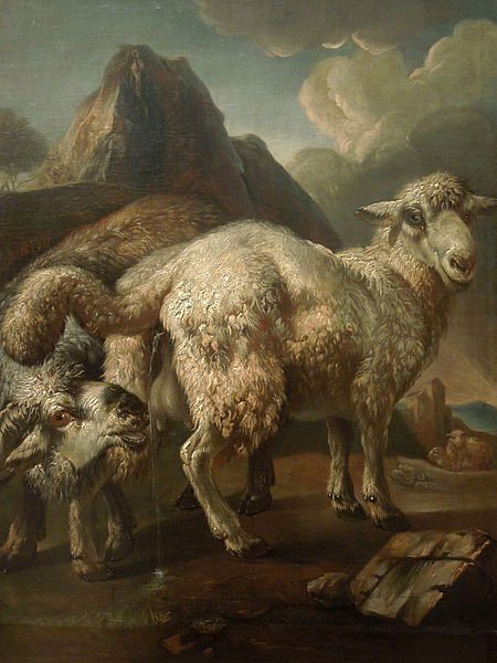 National Museum in Wrocław