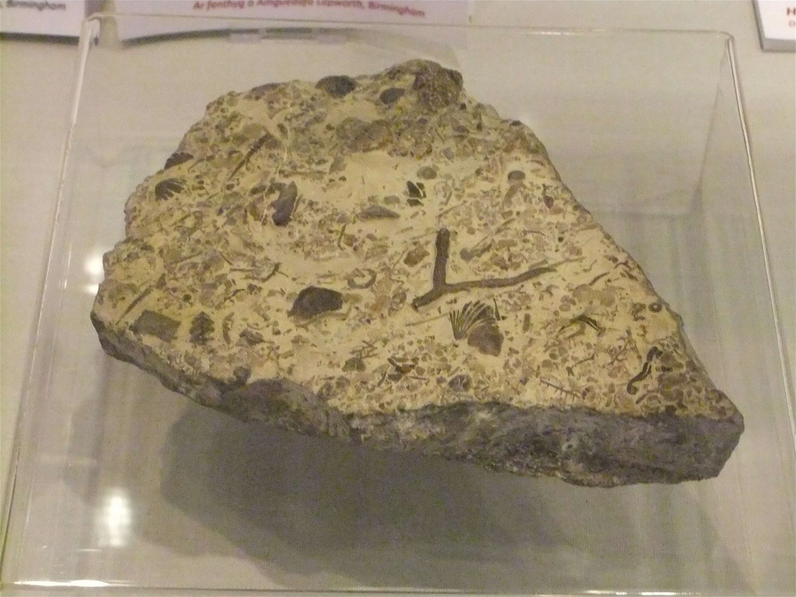 Wrexham County Borough Museum and Archives