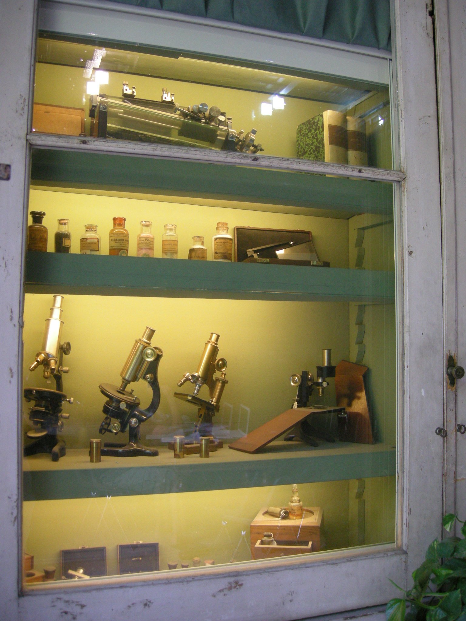 La Specola - Museum of Zoology and Natural History