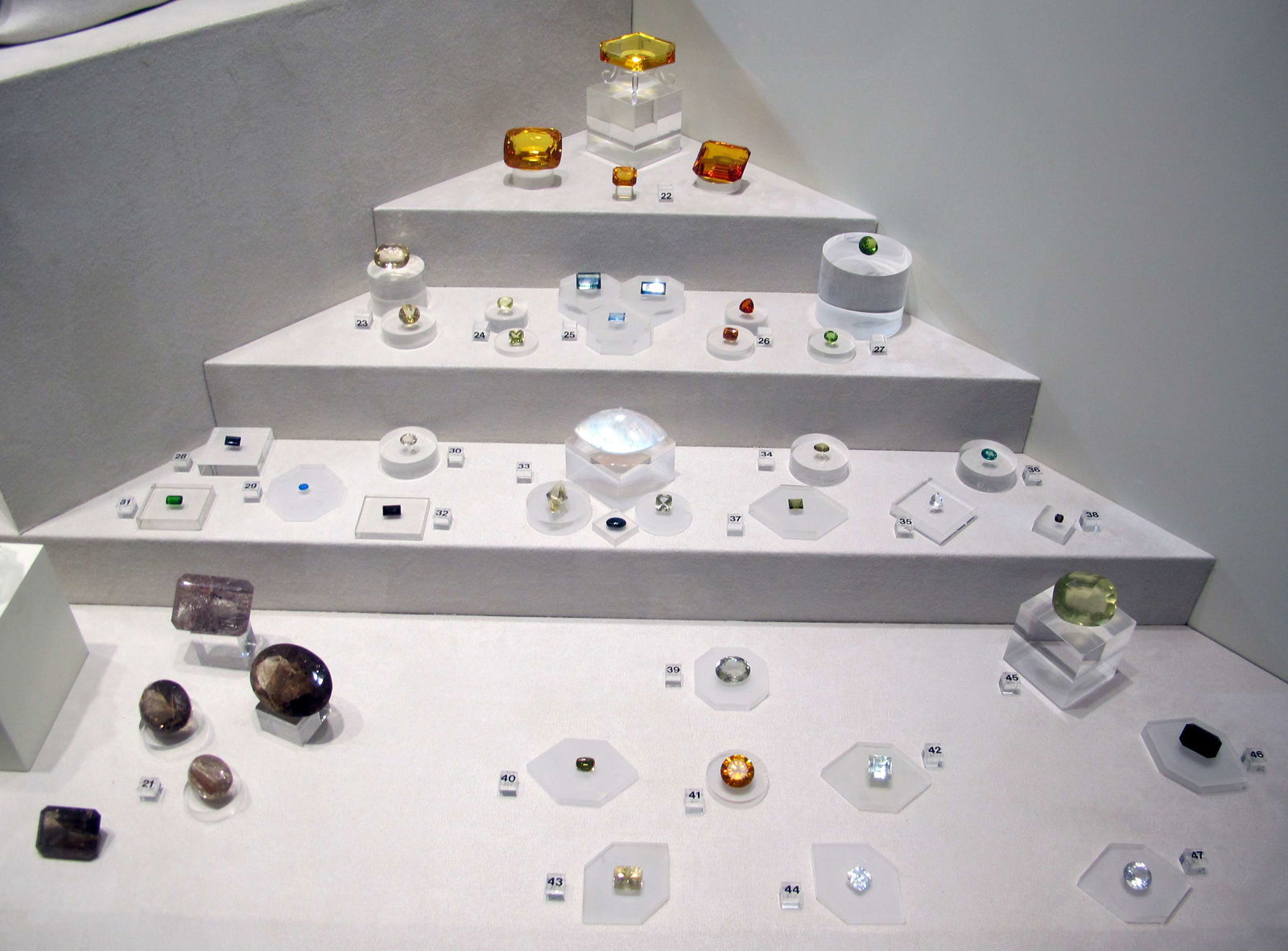 Museo di Storia Naturale di Firenze - Geologia e Paleontologia