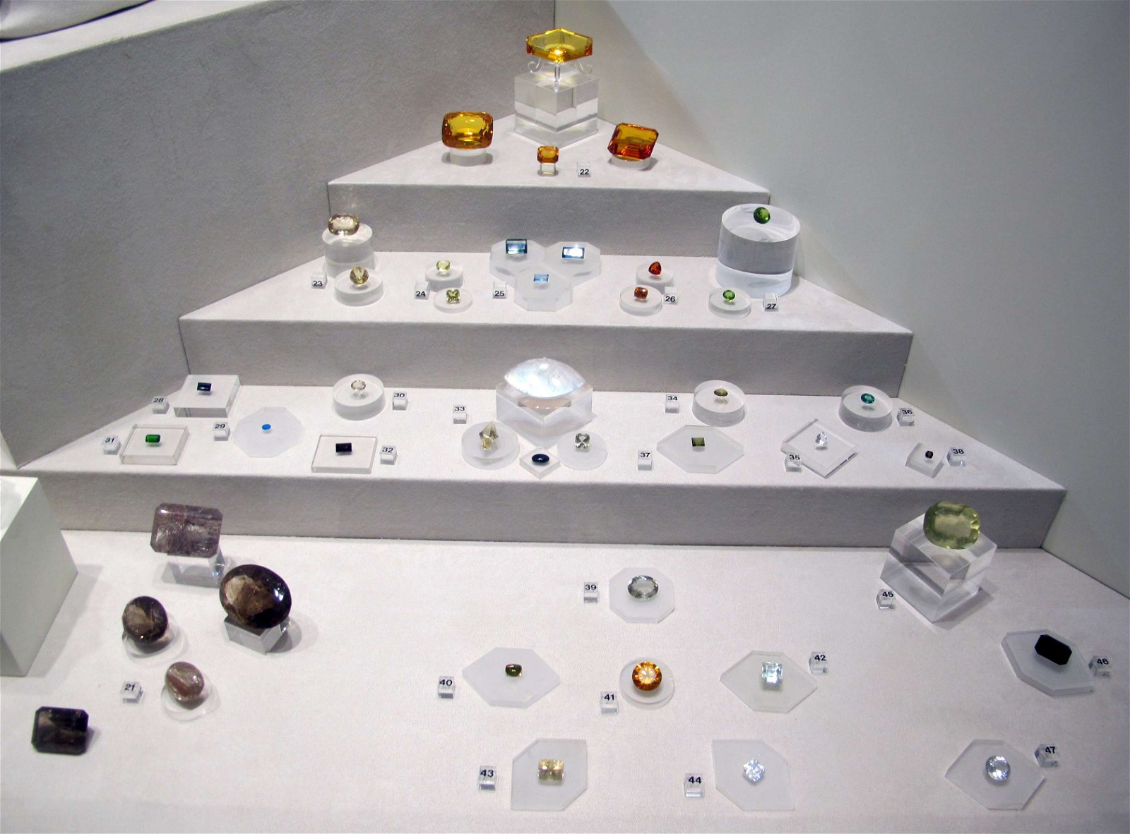 University of Florence Natural History Museum - Geology and Paleontology