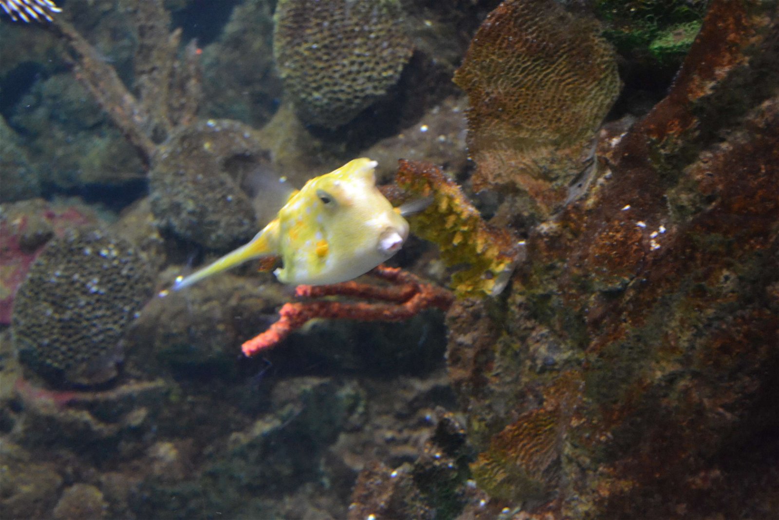 L’Aquàrium de Barcelona