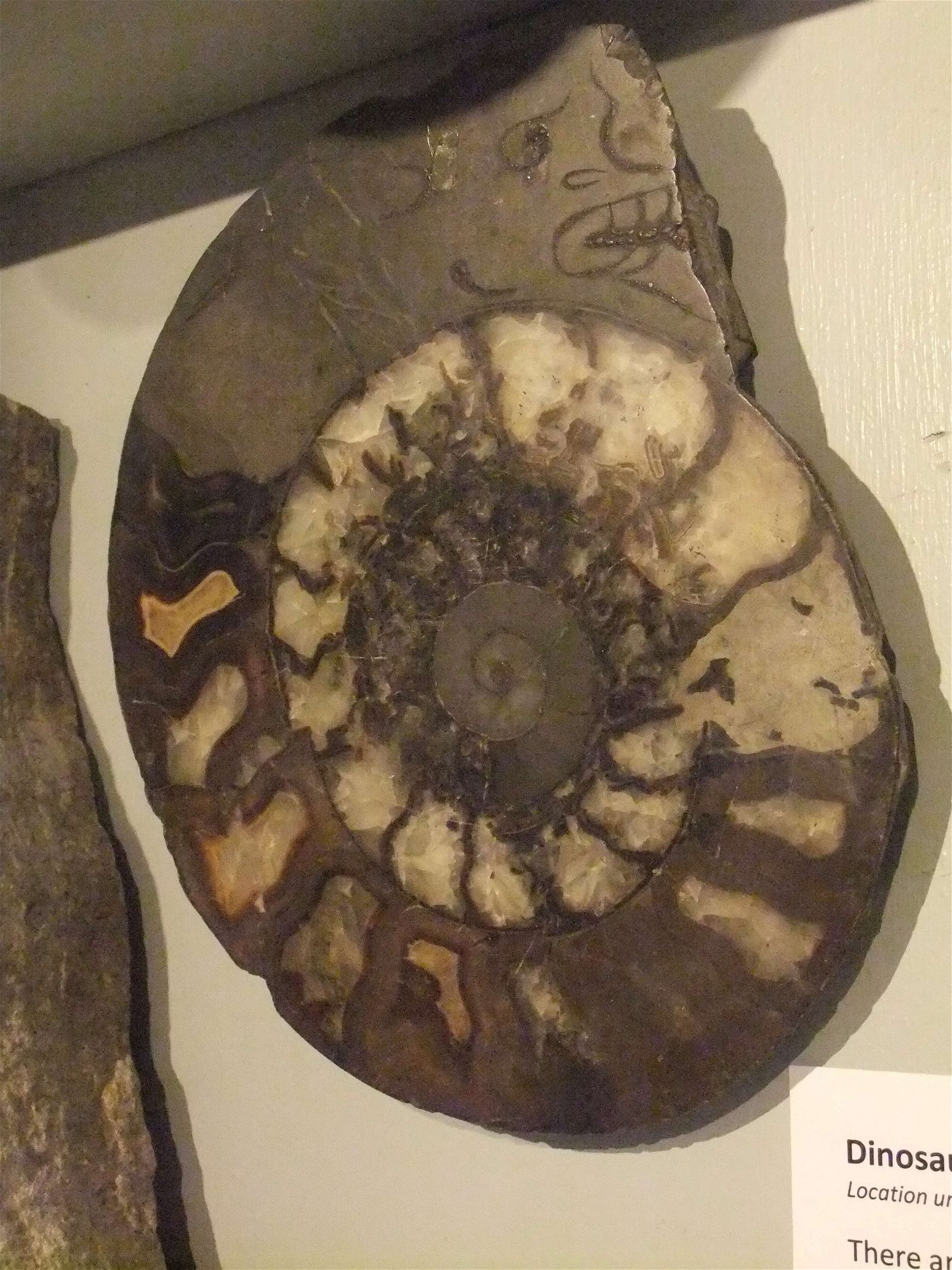 Wrexham County Borough Museum and Archives