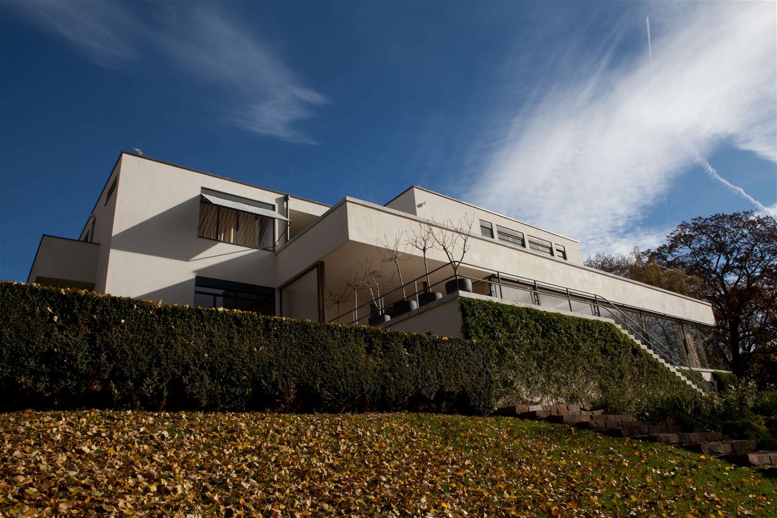 Villa Tugendhat (Brno) - Visitor Information & Reviews