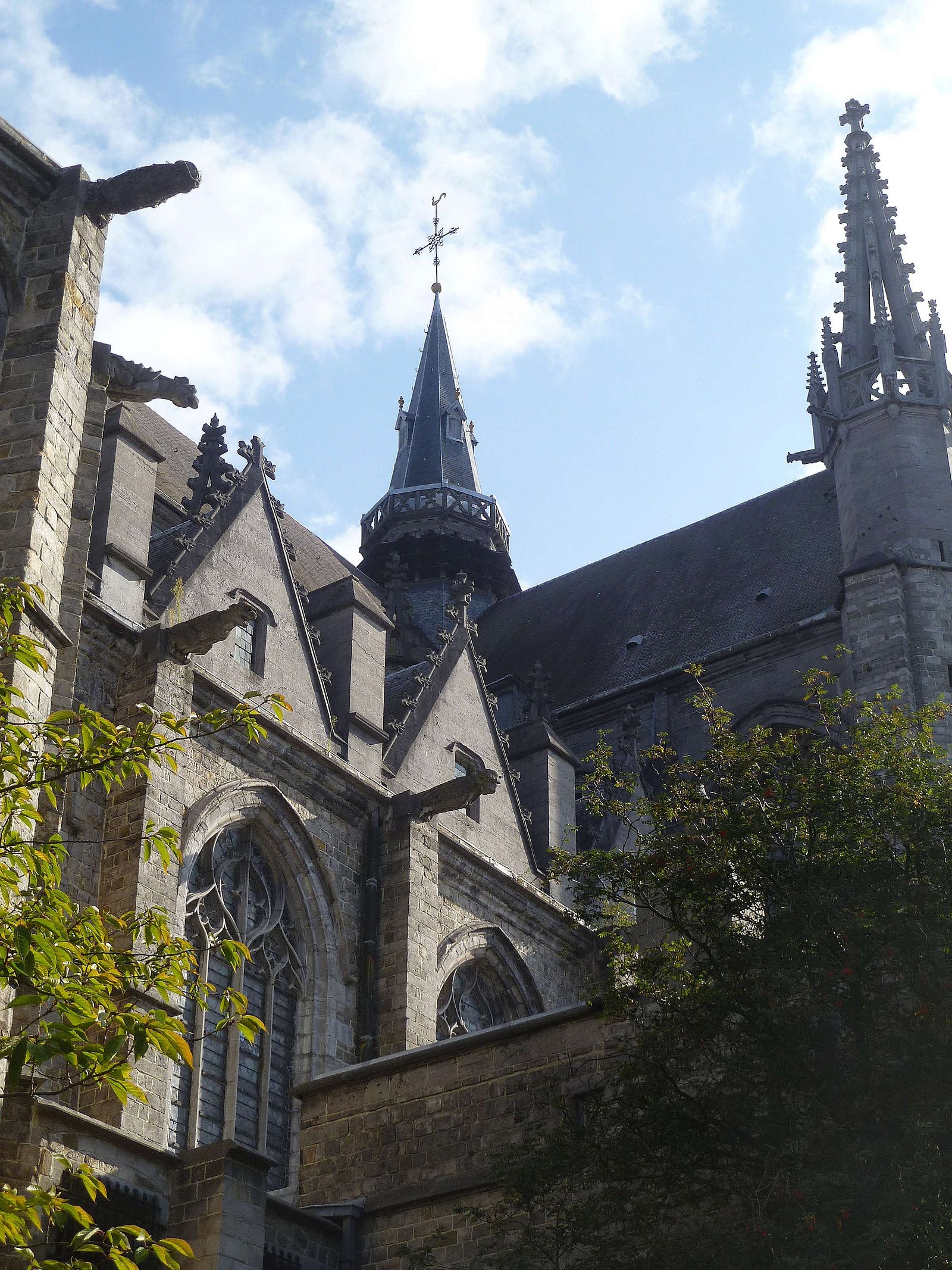 Collégiale Sainte-Waudru et Trésor de Mons