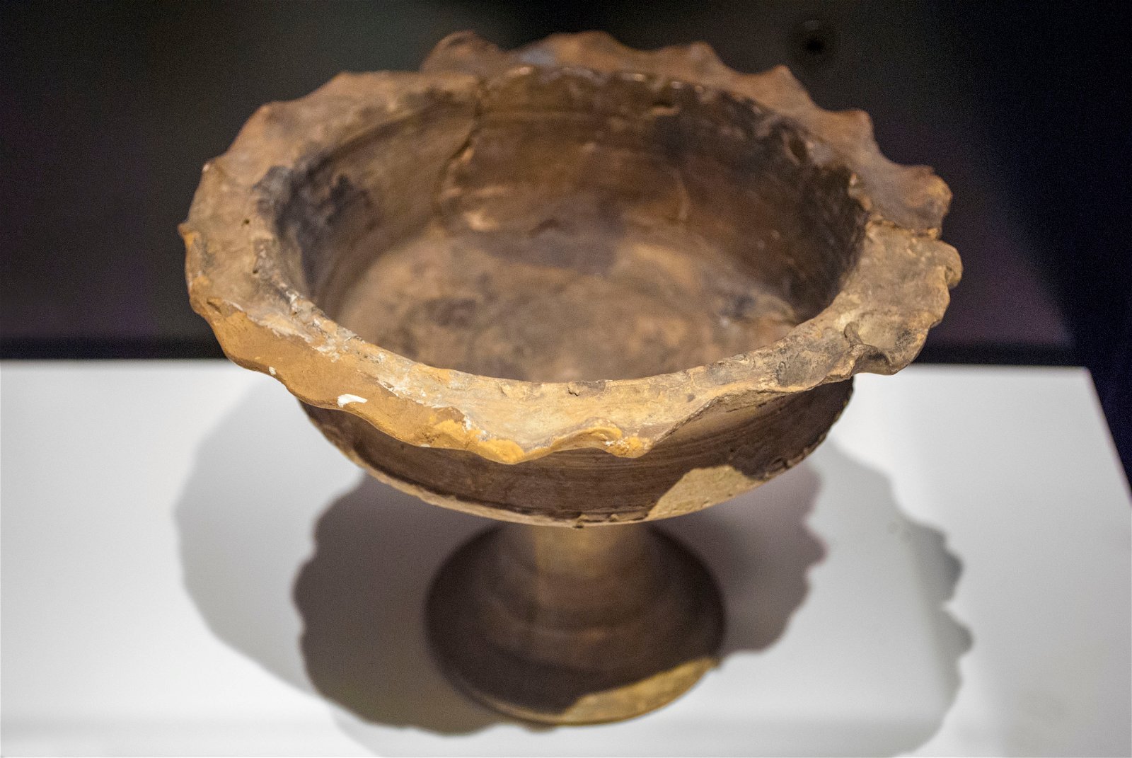 Roman Museum at the Hoher Markt