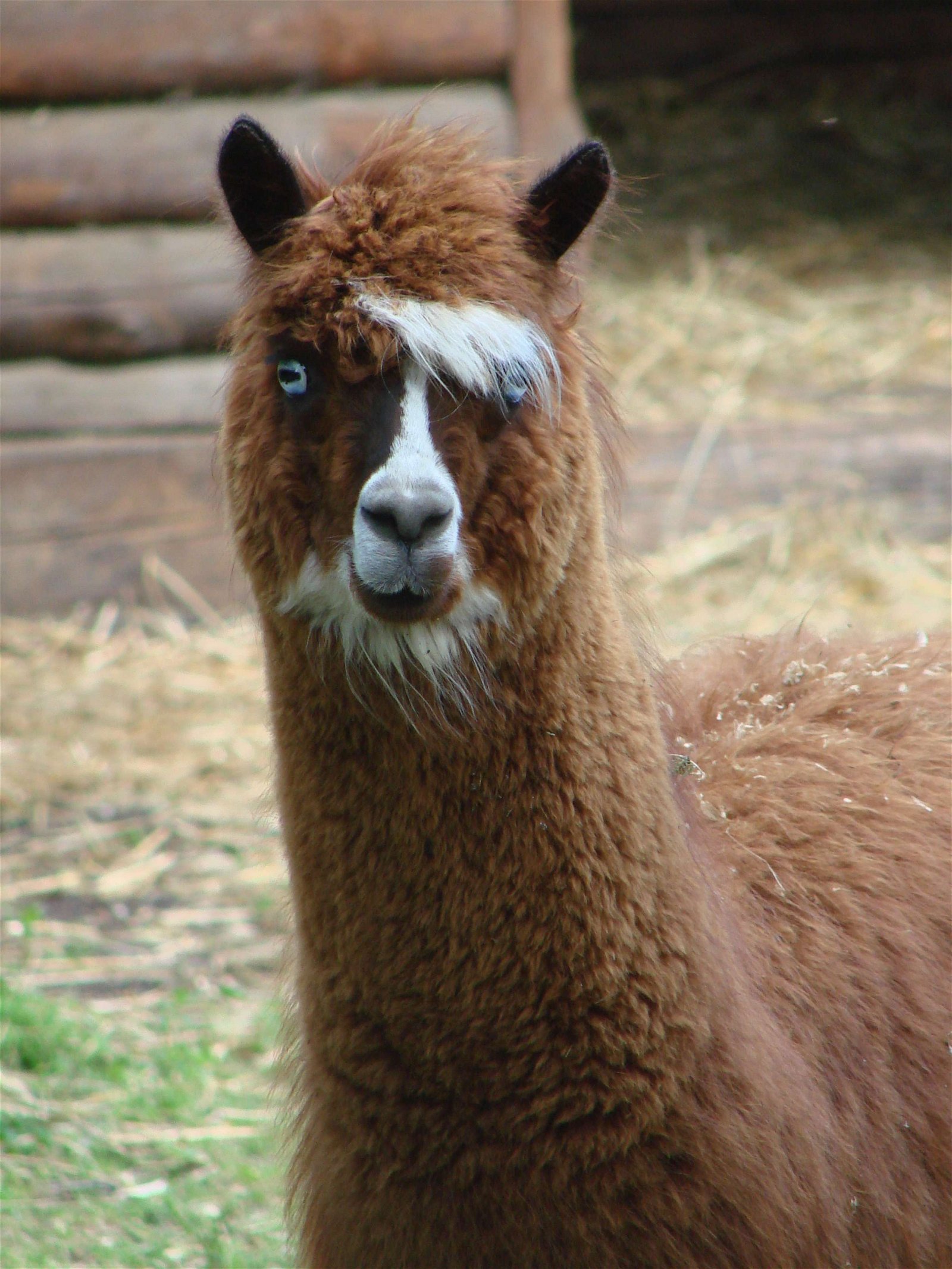 Wroclaw Zoo & Africarium