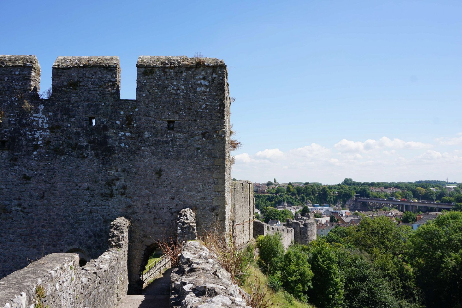 Chepstow Castle