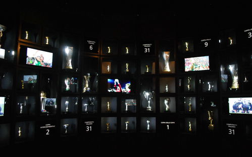 Juventus Museum