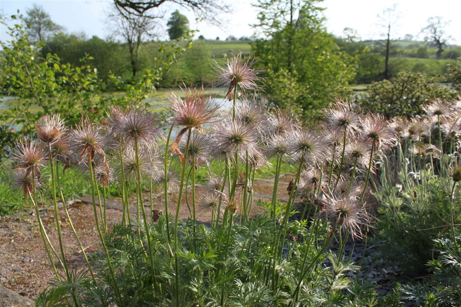 National Botanic Garden of Wales
