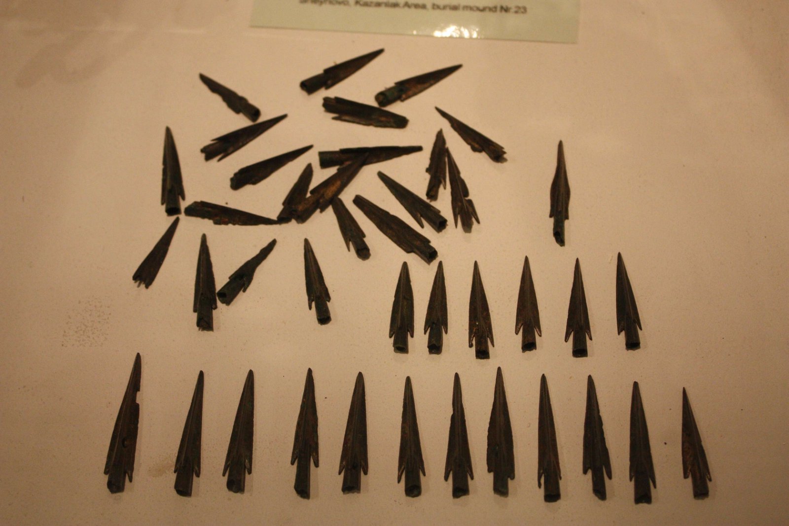 National History Museum