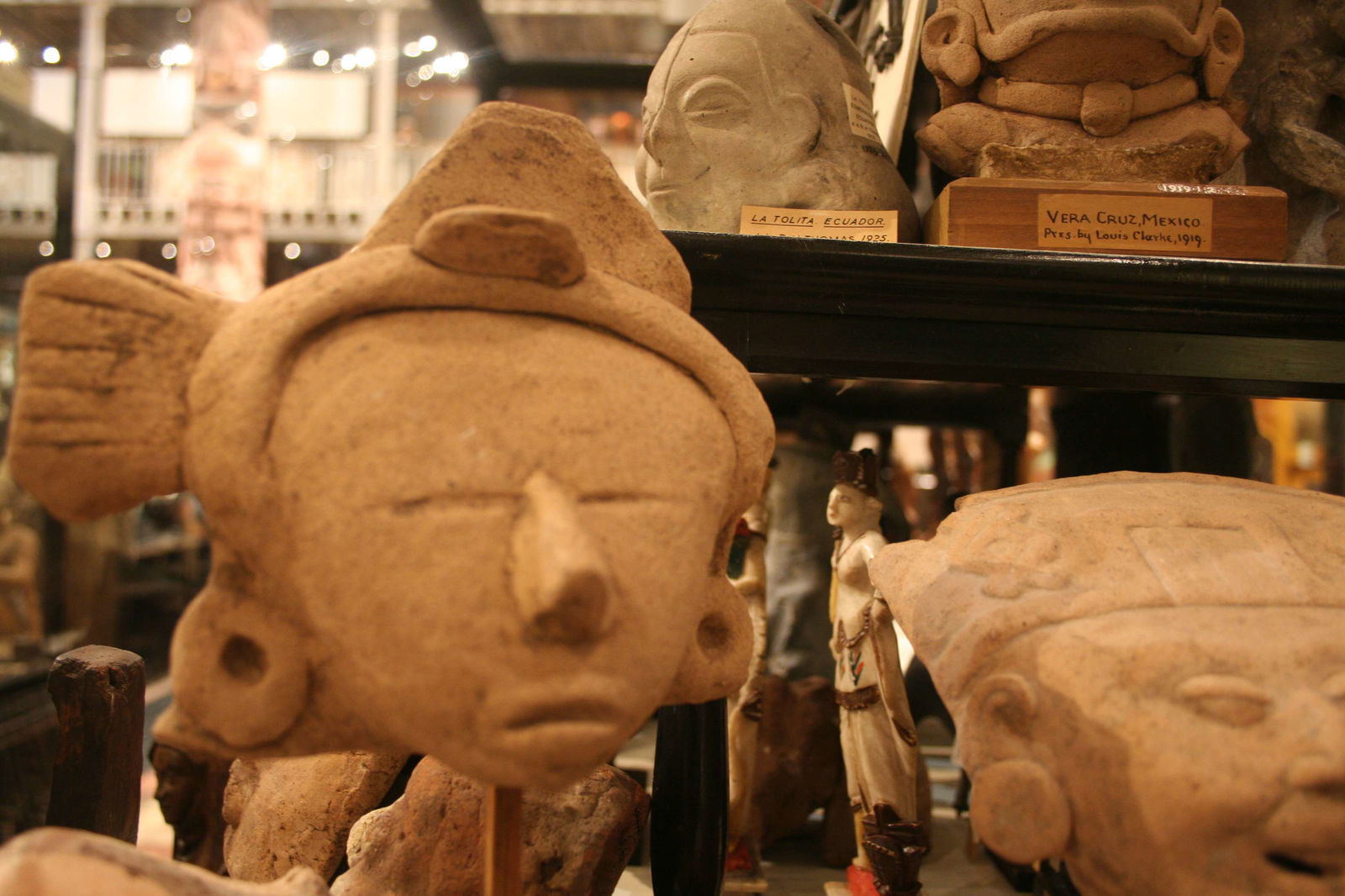 Museo Pitt Rivers