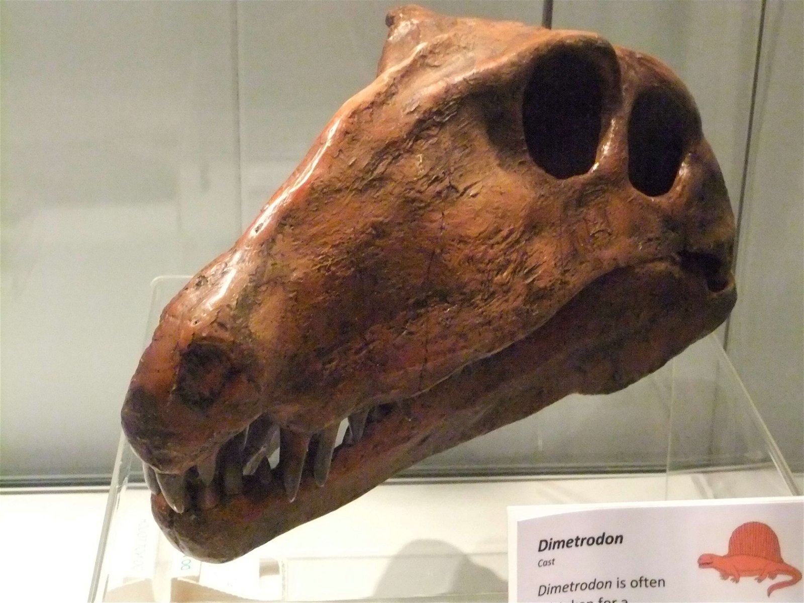 Wrexham County Borough Museum and Archives