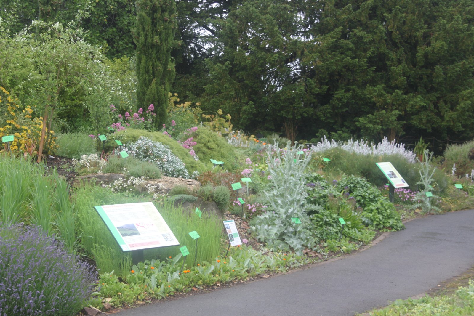 University of Bristol Botanic Garden