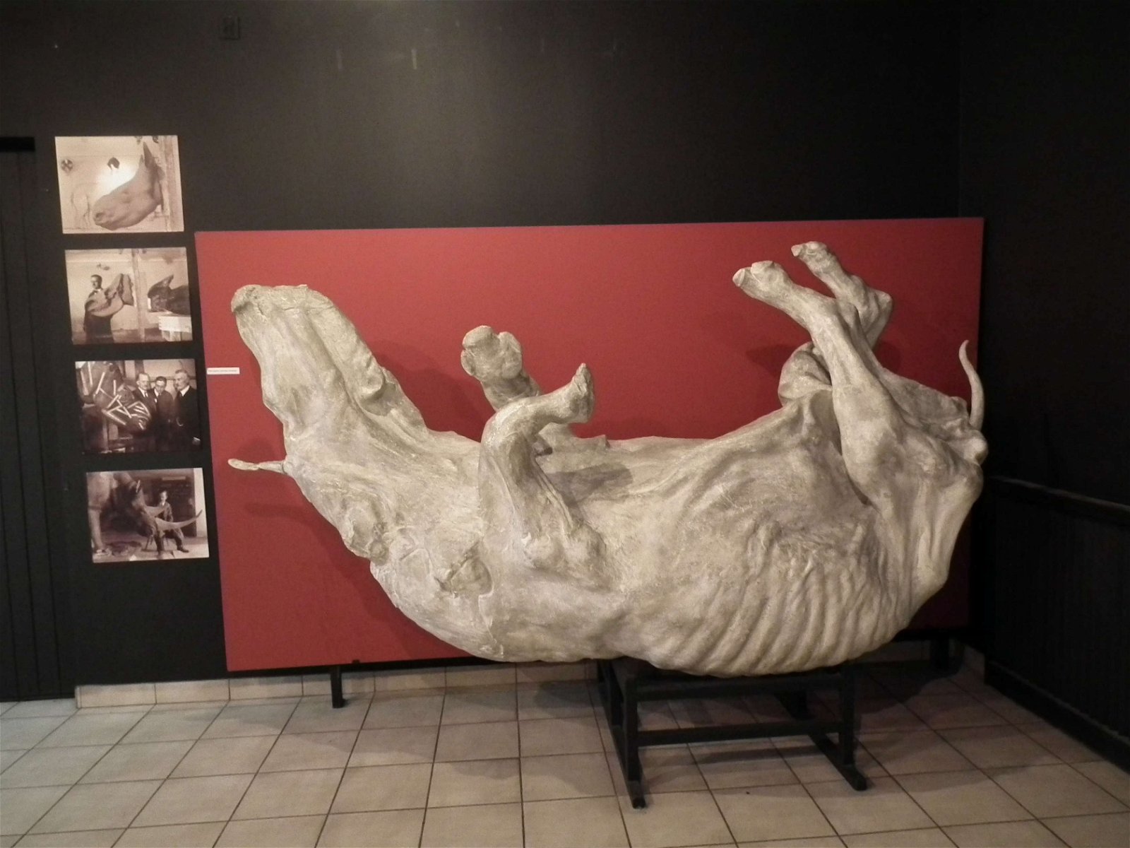 Aquarium and Museum of Natural History in Krakow