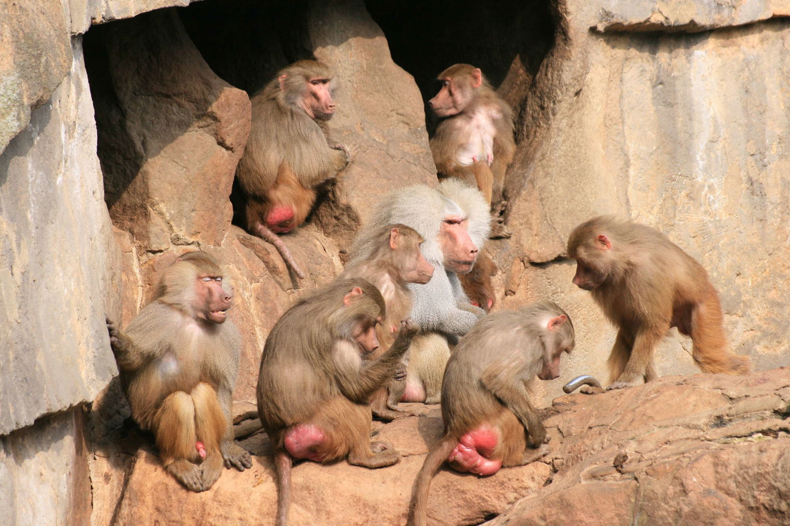 Zoologischer Garten Berlin