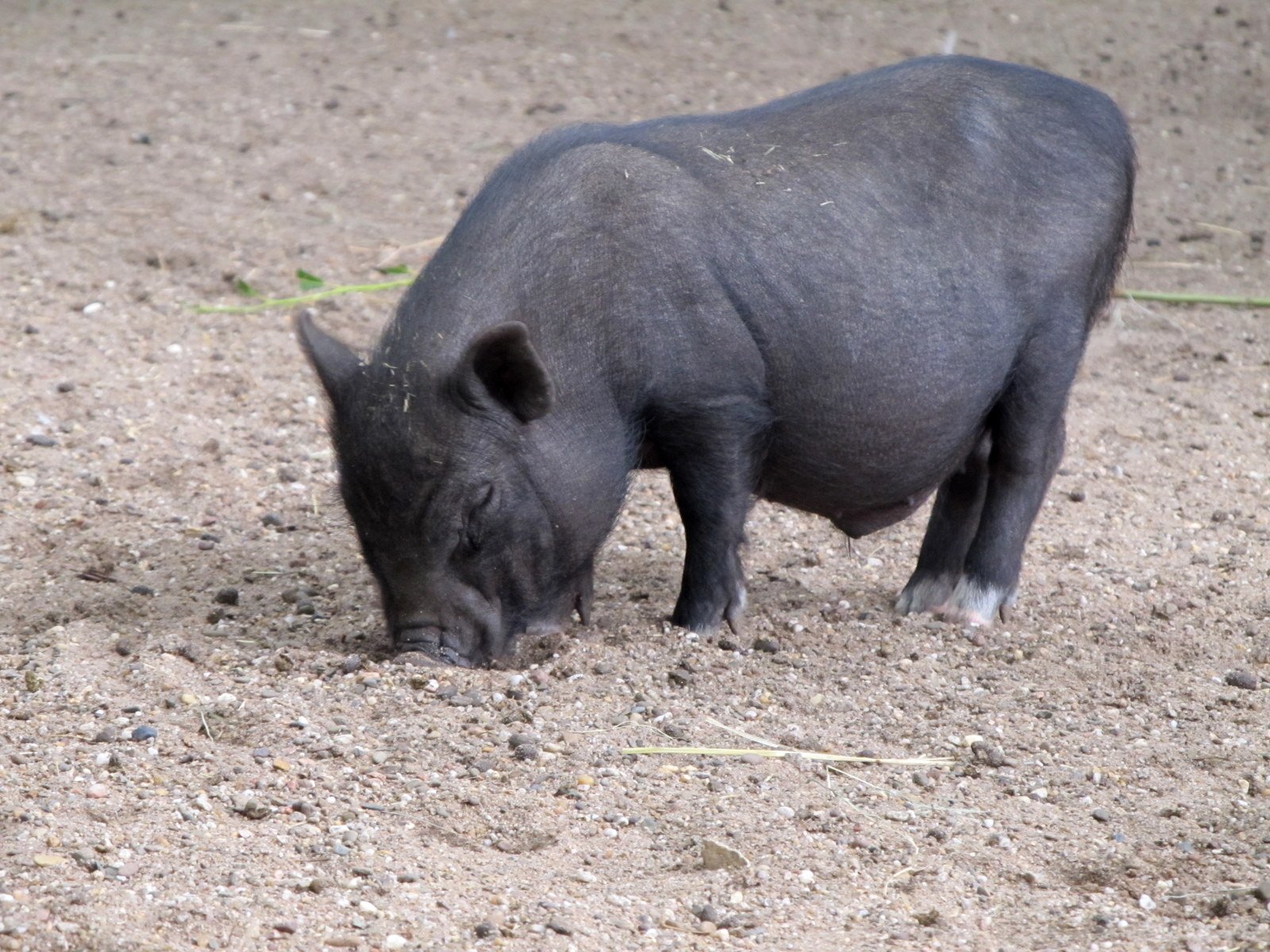 Familiepark Harry Malter