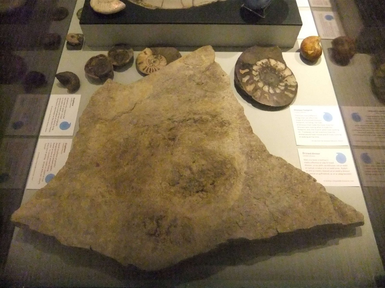 Wrexham County Borough Museum and Archives