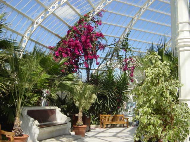 Sefton Park Palm House
