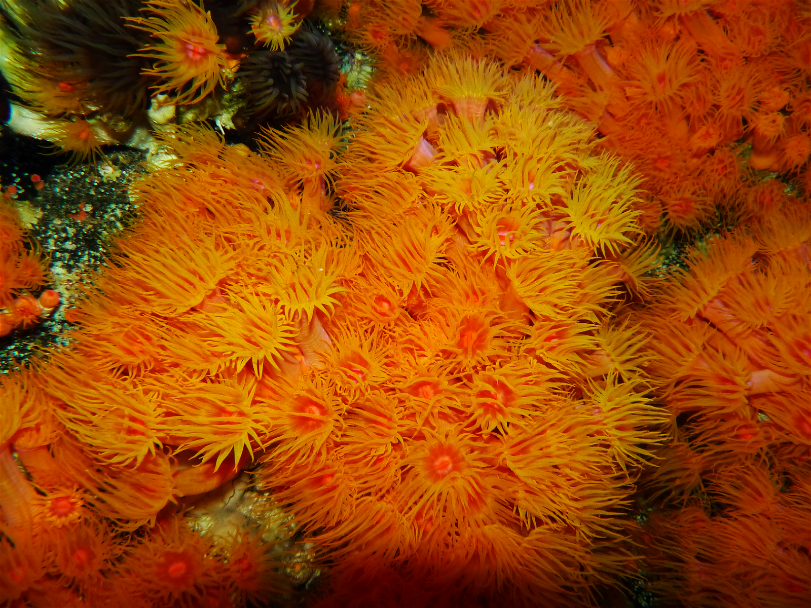 Aquazoo – Löbbecke-Museum Düsseldorf