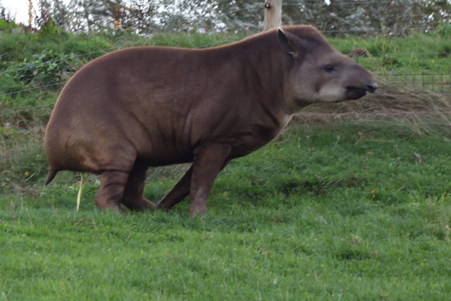Monde Sauvage Safaripark
