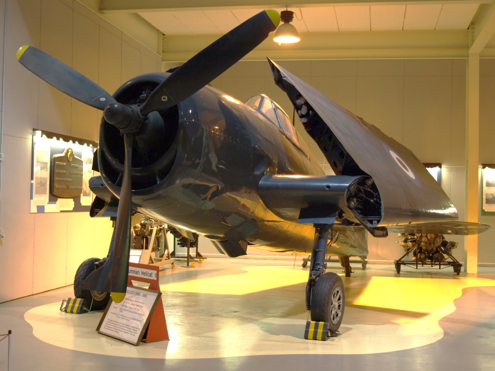 Royal Navy Museums: Naval Aviation