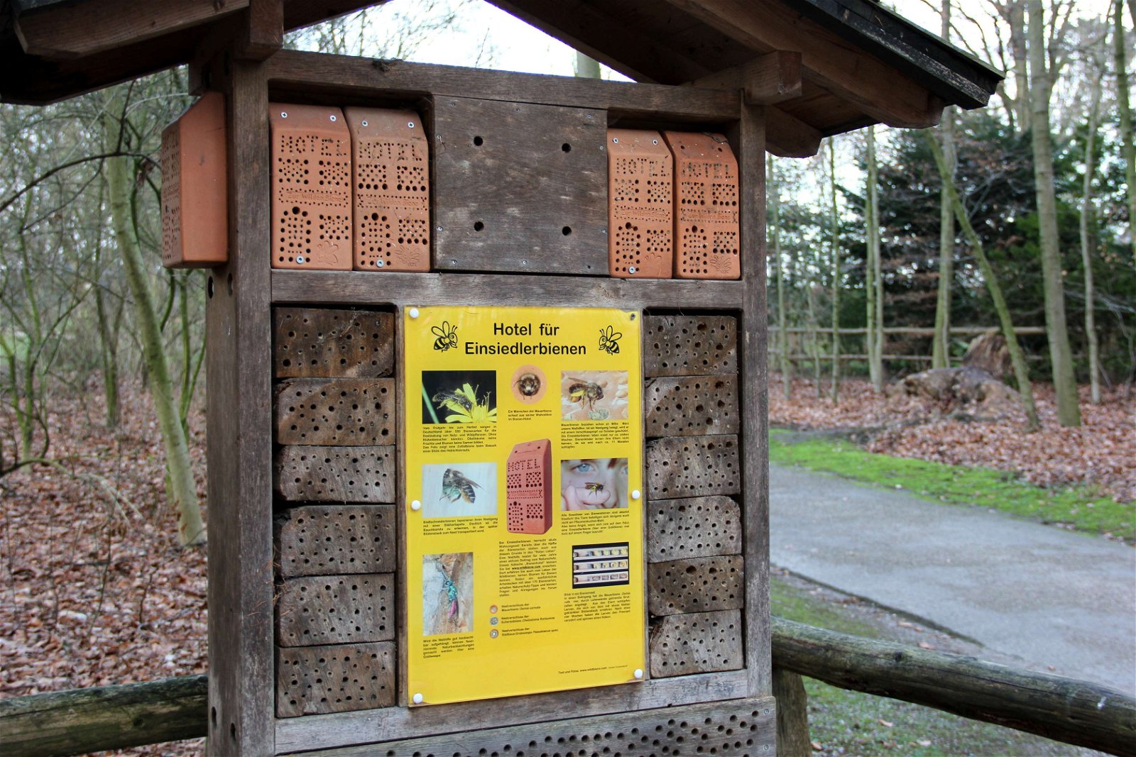 Wildpark im Grafenberger Wald