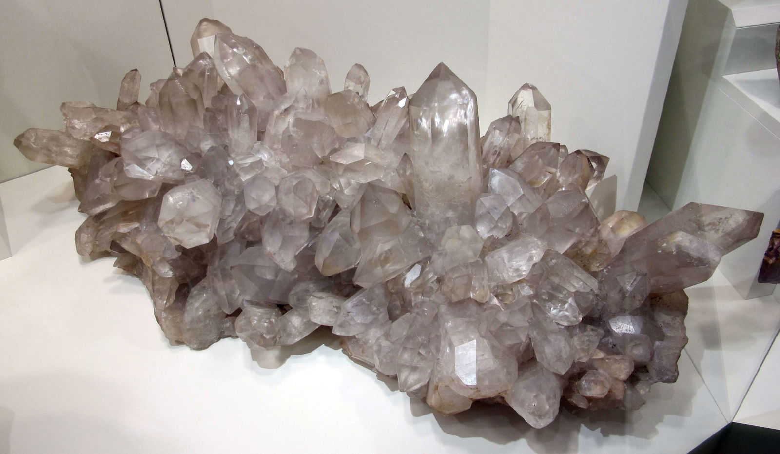 Museo di Storia Naturale di Firenze - Geologia e Paleontologia