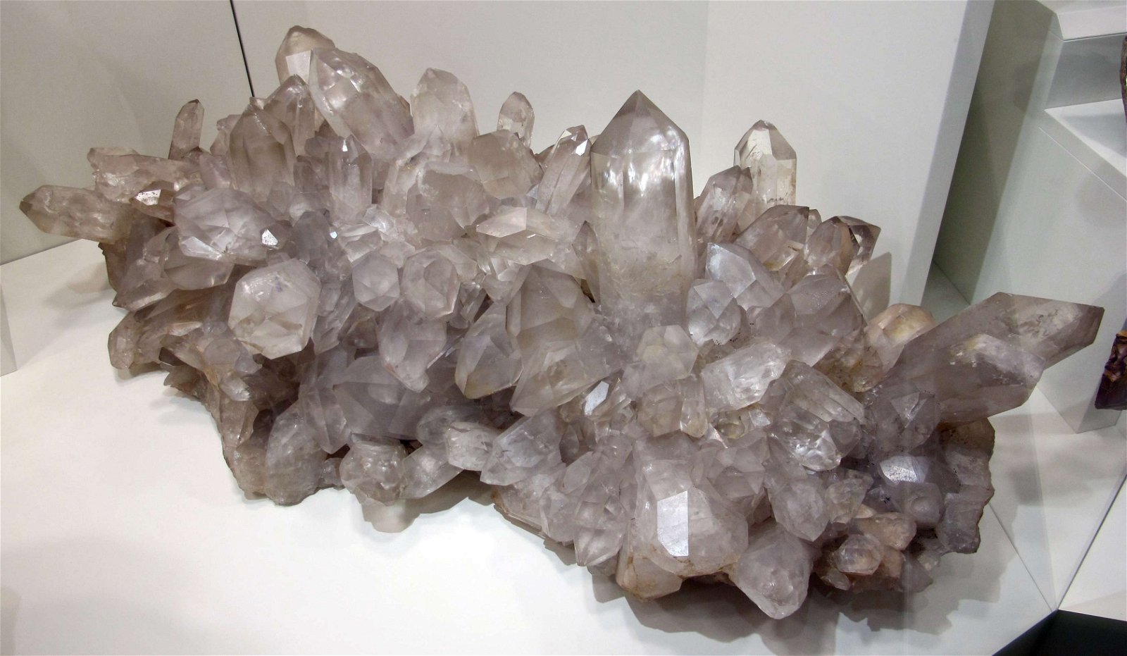 University of Florence Natural History Museum - Geology and Paleontology