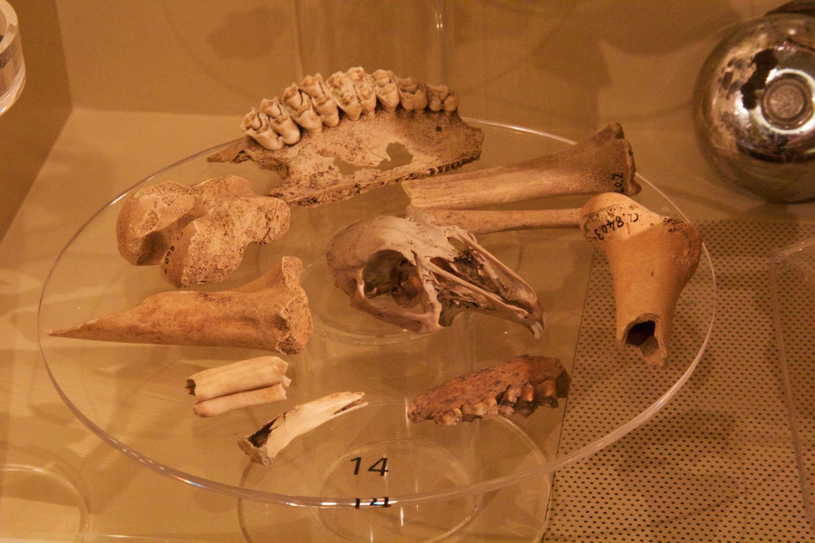 Clitheroe Castle Museum