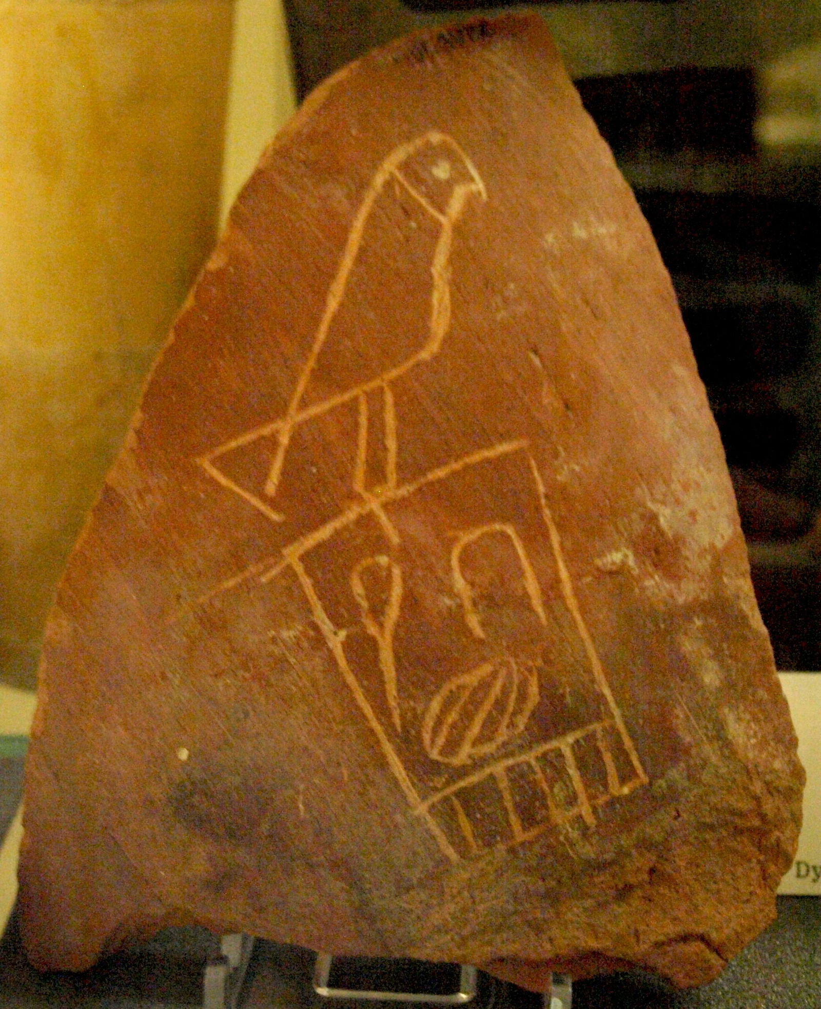 Petrie Museum of Egyptian Archaeology