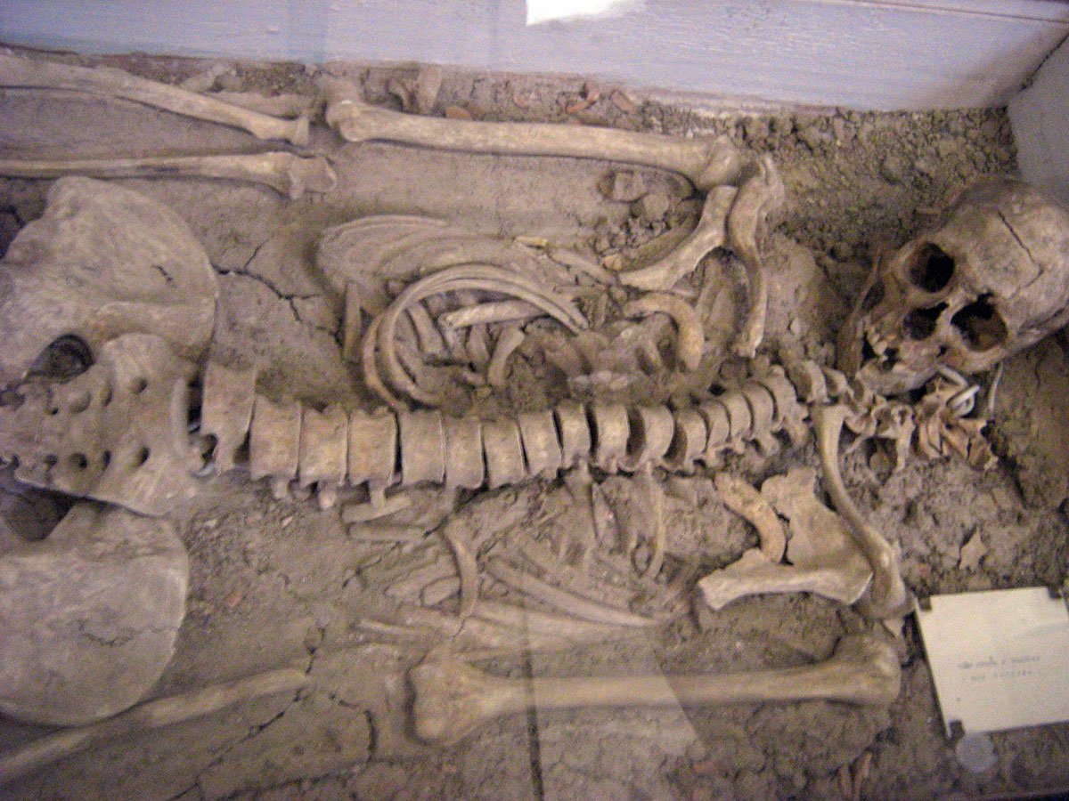 Museo Civico Archeologico