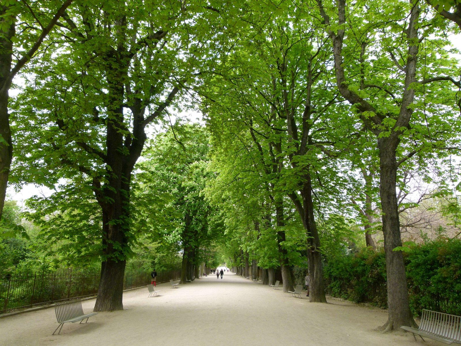 Jardin des Plantes