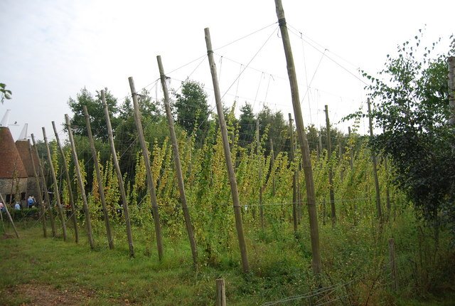 Kent Life Heritage Farm Park