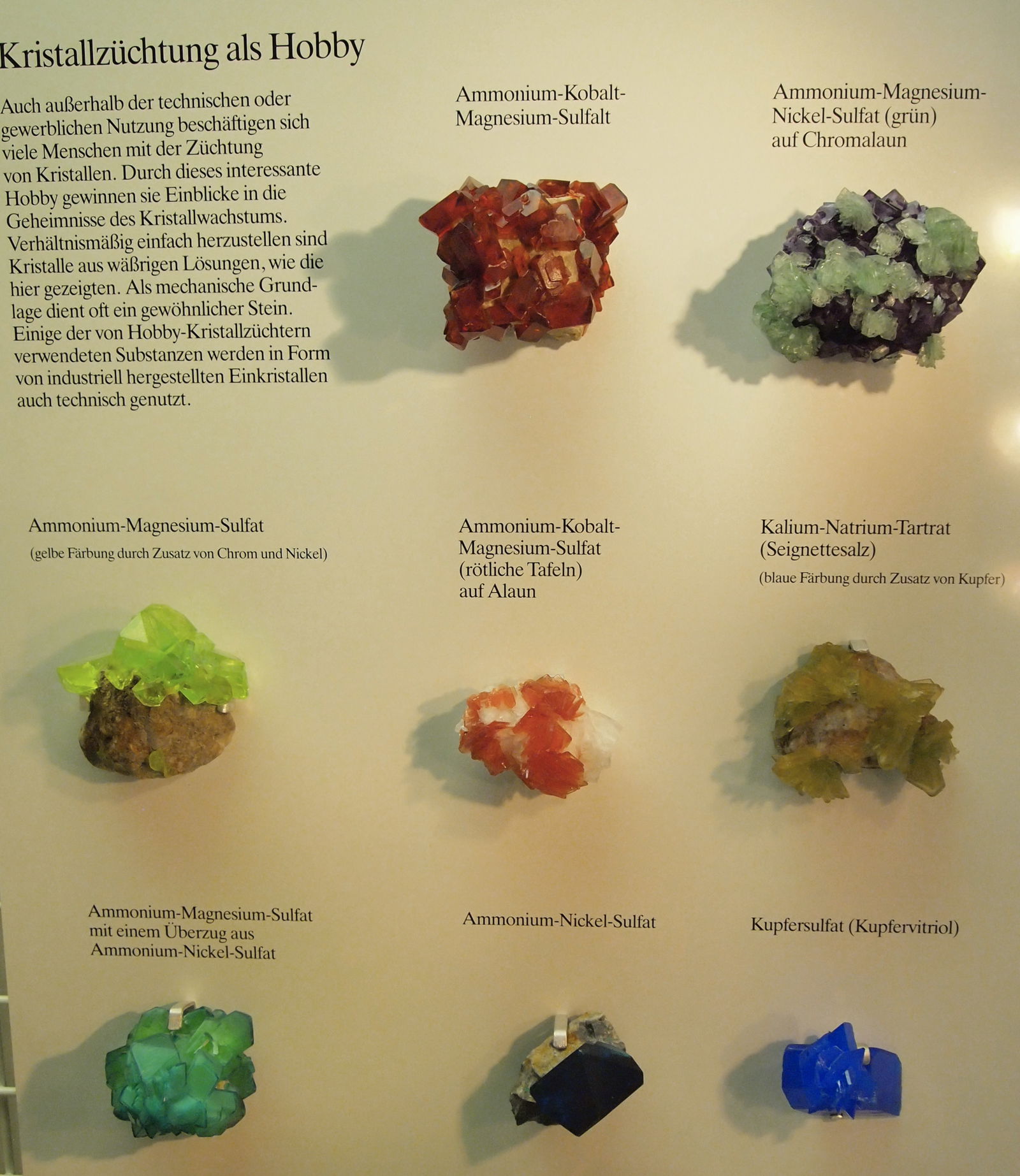 Museum Mensch und Natur