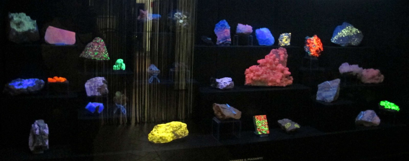 University of Florence Natural History Museum - Geology and Paleontology