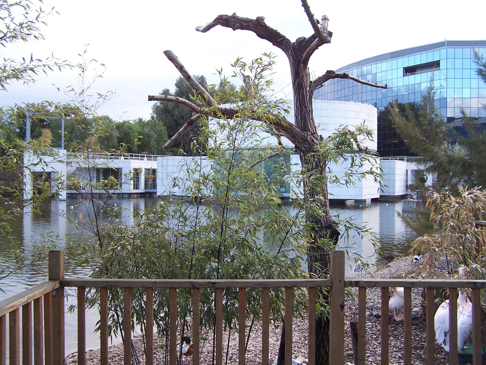 Musée des Arts Asiatiques de Nice