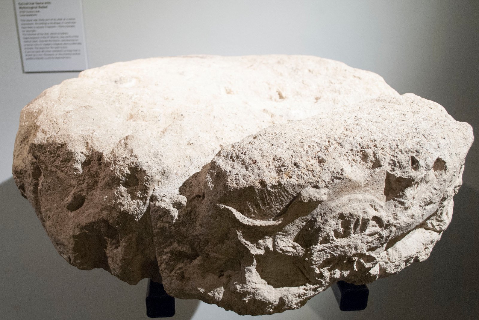 Roman Museum at the Hoher Markt