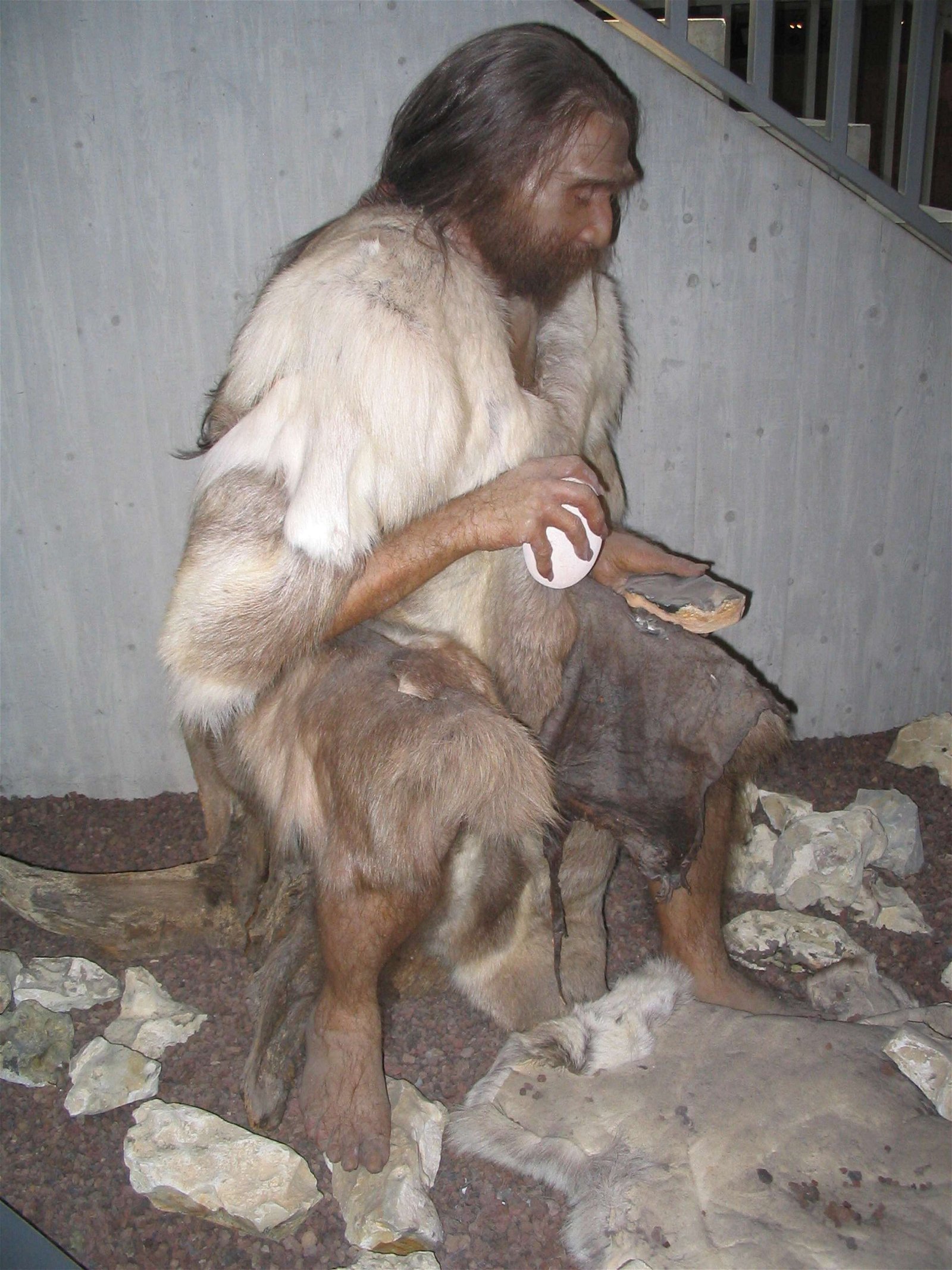 Neanderthal Museum