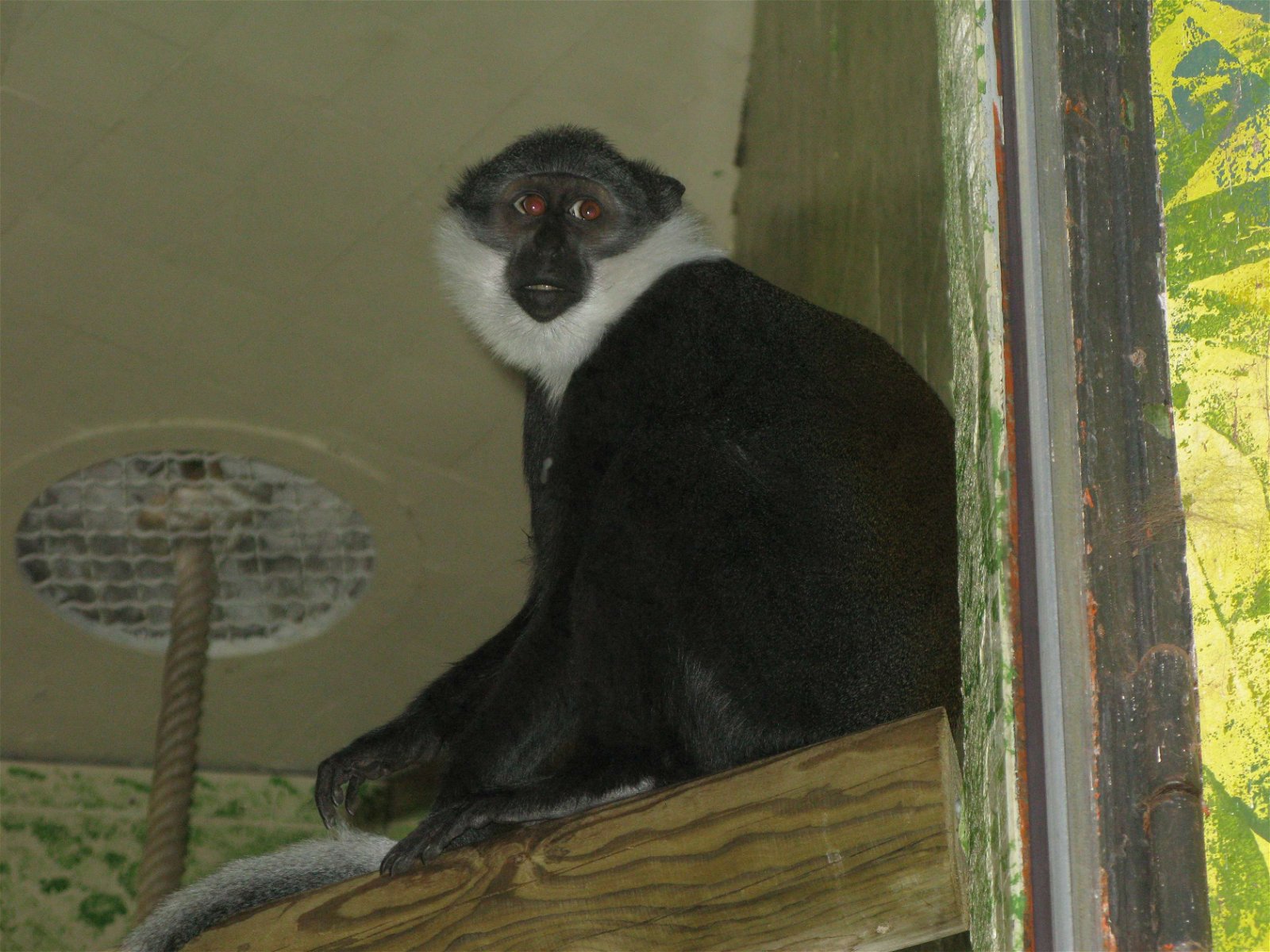 Ménagerie du Jardin des Plantes