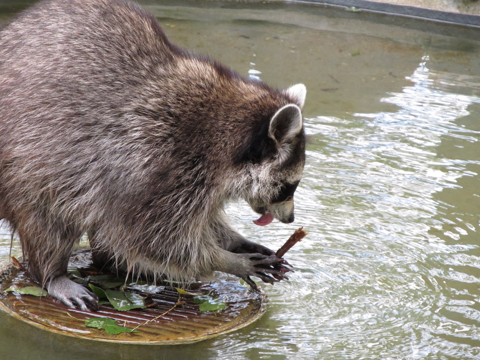 Familiepark Harry Malter