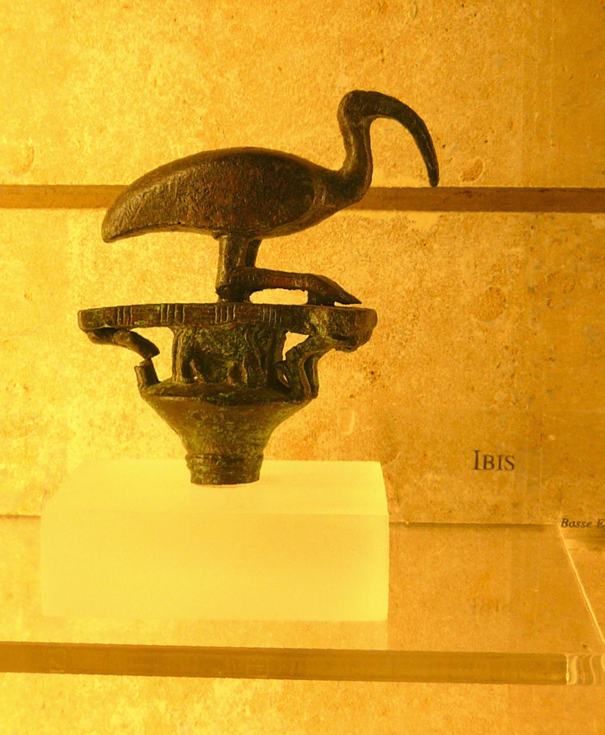 Musée d'archéologie méditerranéenne