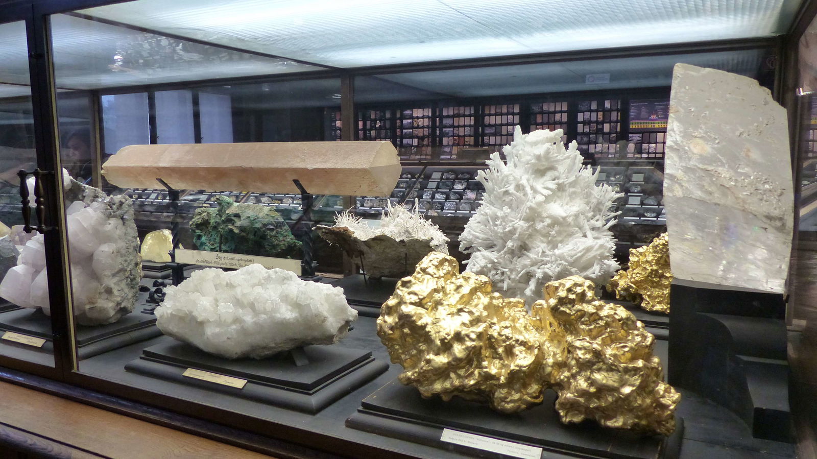 Natural History Museum