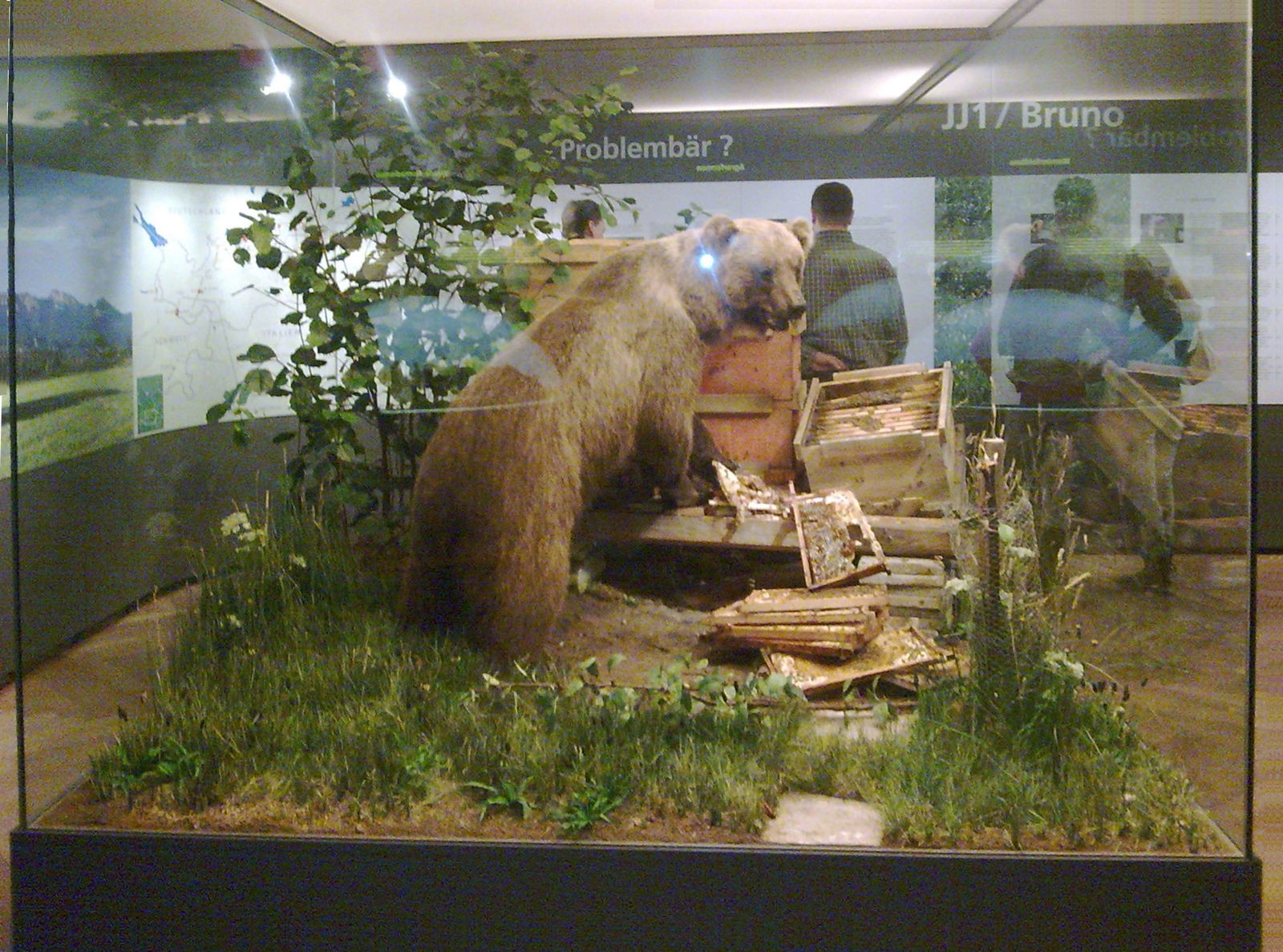 Museum Mensch und Natur