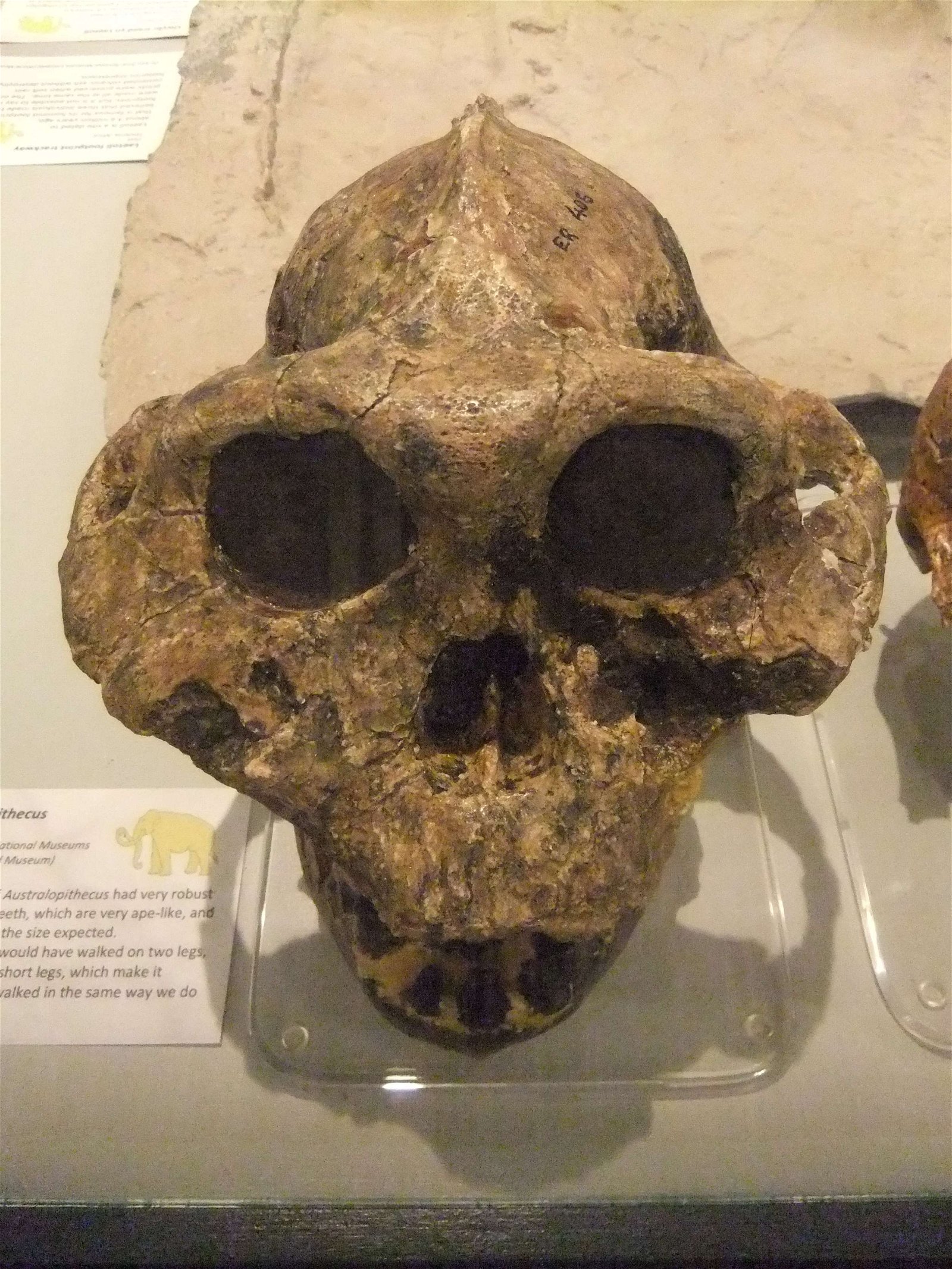 Wrexham County Borough Museum and Archives