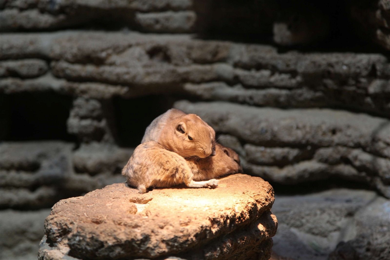 Aquazoo – Löbbecke-Museum Düsseldorf