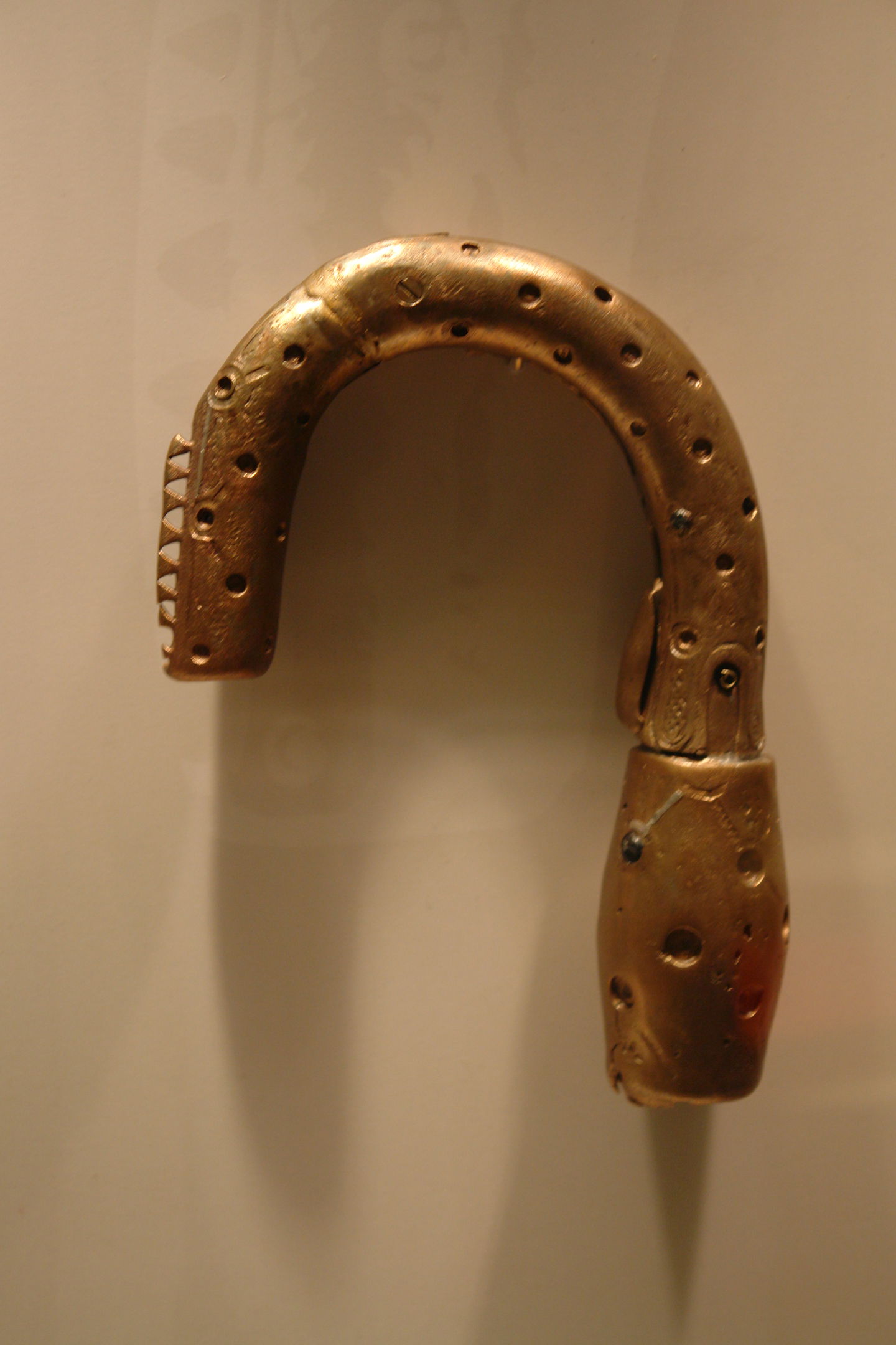 National Museum of Ireland, Kildare Street