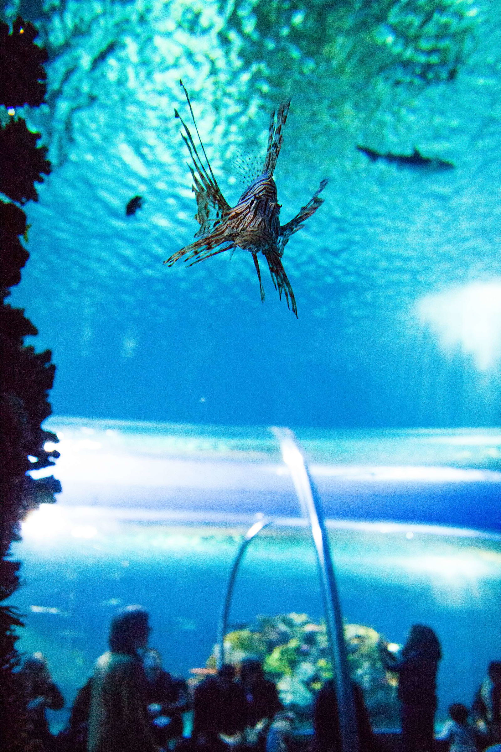 National Aquarium Denmark