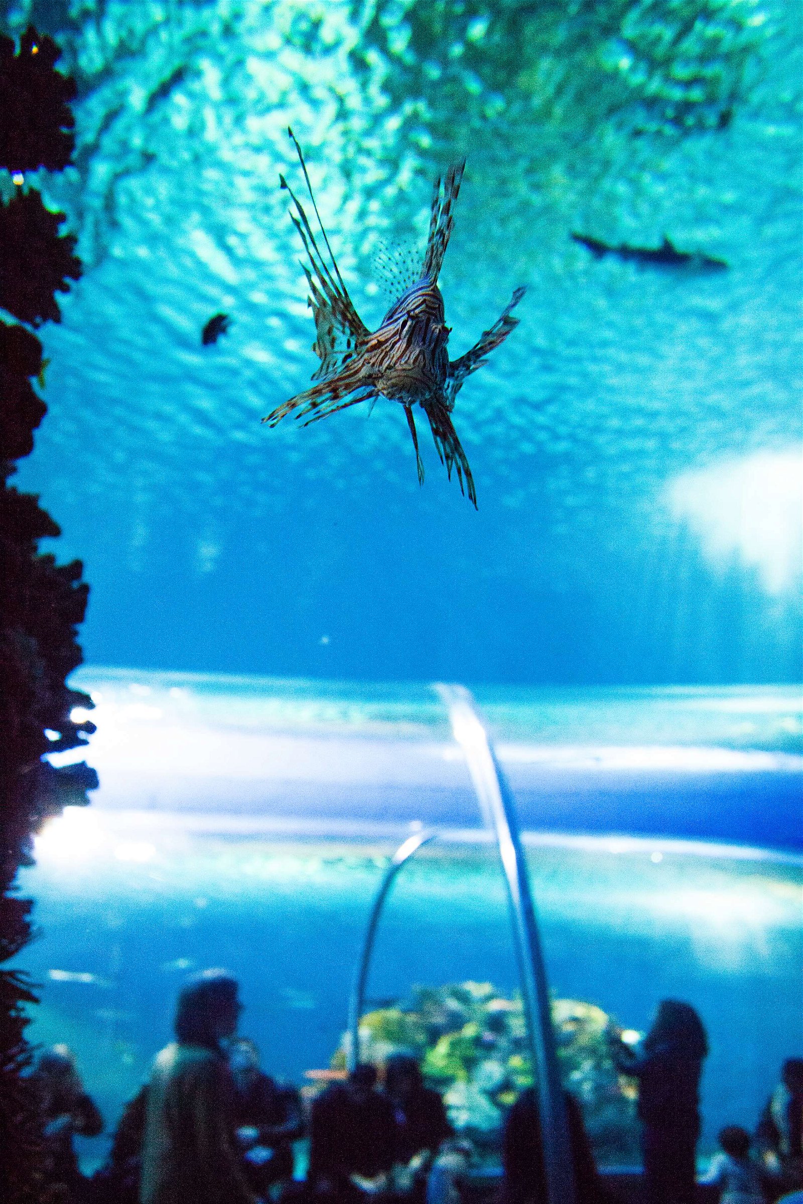 National Aquarium Denmark