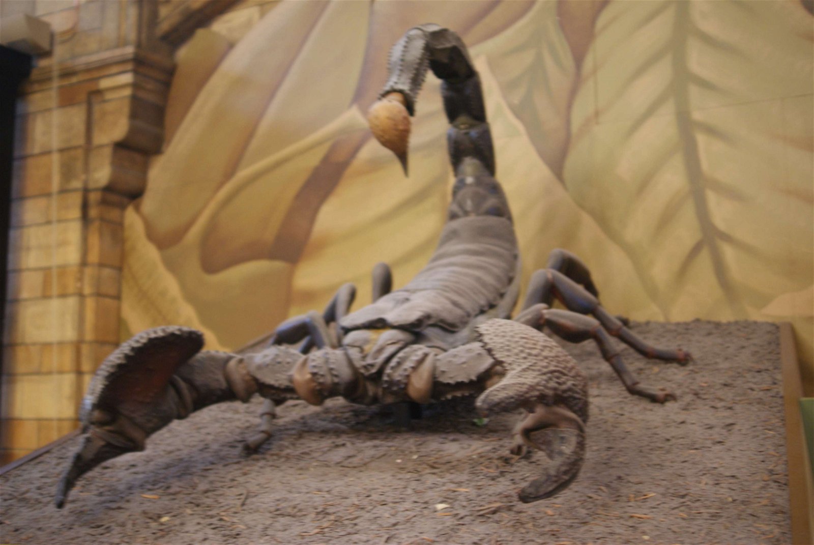 Natural History Museum